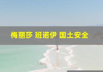 梅丽莎 班诺伊 国土安全